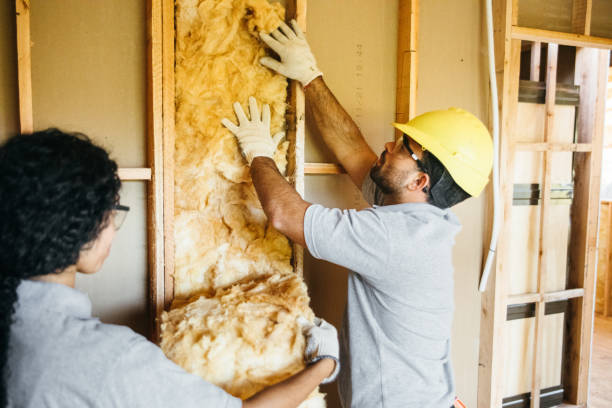 Best Insulation Contractor Near Me  in Youngsville, NC