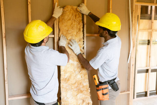Best Insulation Contractors for Homes  in Youngsville, NC