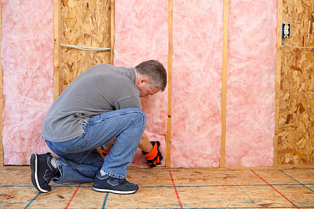 Best Spray Foam Insulation  in Youngsville, NC