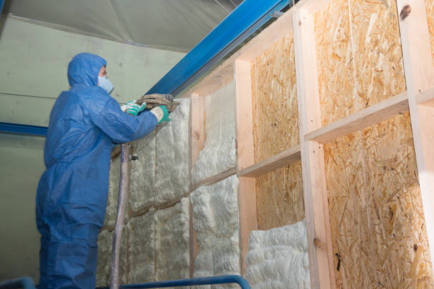 Best Attic Insulation Installation  in Youngsville, NC