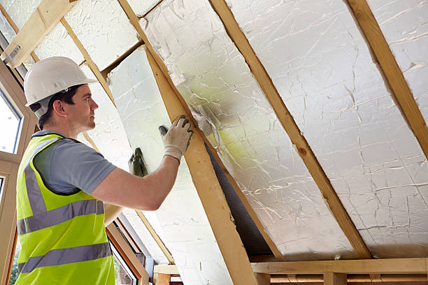 Best Attic Insulation Installation  in Youngsville, NC