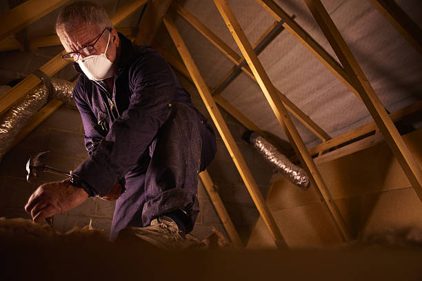 Best Local Insulation Services  in Youngsville, NC