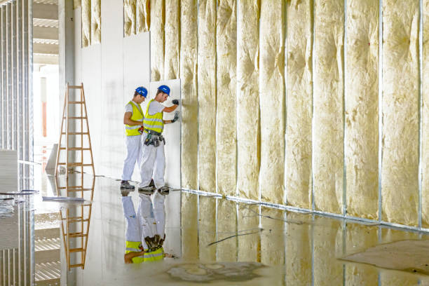 Garage Insulation Installation in Youngsville, NC